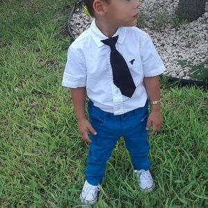 Meet your Posher, Sylvia